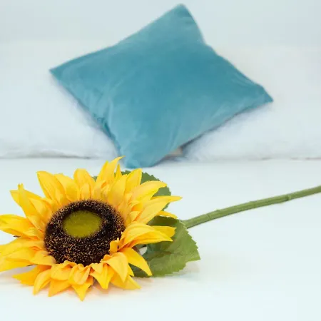 Casa Valeria * Tinajo