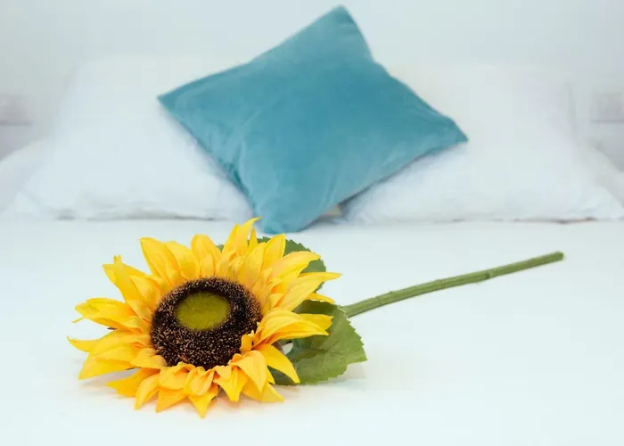 Casa Valeria * Tinajo